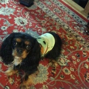 Meet your Posher, Kathy